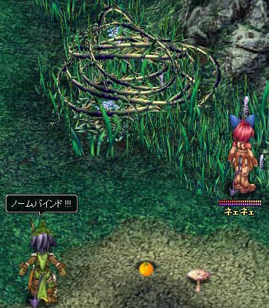 ノームバインド.jpg